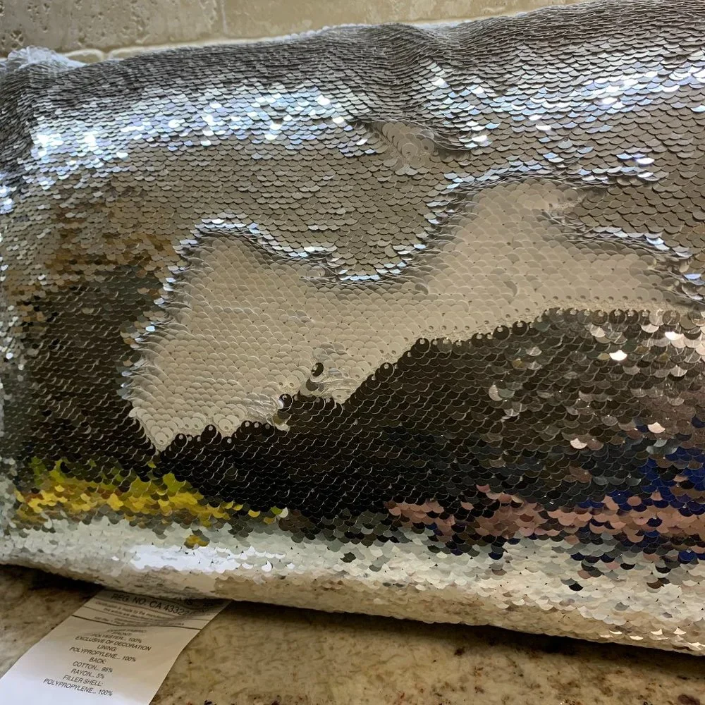 Pier 1 Reversible Sequin Pillow Silver
